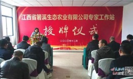 武宁新闻爆料事件最新,真相追踪与舆论漩涡